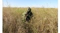 Маскировочный халат Taganrog Кикимора – купить по цене 3550 руб. в интернет-магазине в городе Казань картинка 13